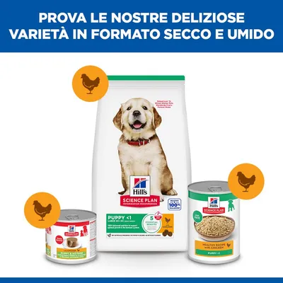 Hill's Science Plan Puppy <1 Large con Pollo
