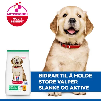 Hill's Science Plan Puppy <1 Large med kylling