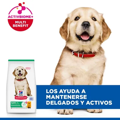Hill's Science Plan Puppy <1 Large con pollo