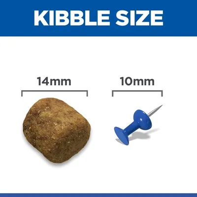 Hill's Science Plan Adult 1-5 Large with Chicken