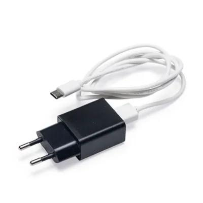 Chargeur secteur noir avec câble blanc et connecteur USB-C, fiche européenne à deux broches visible.