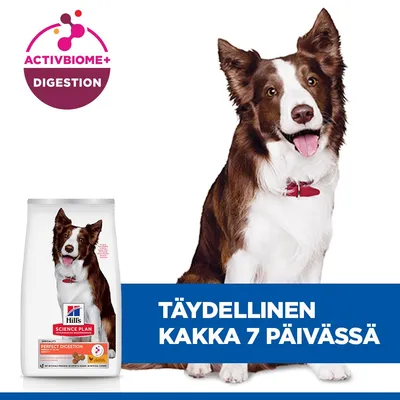 Hill's Science Plan Perfect Digestion ActivBiome+ -täysravinto. Teksti: Täydellinen uloste 7 päivässä. Hill's Science Plan Perfect Digestion ActivBiome+ -täysravinto. Teksti: Täydellinen uloste 7 päivässä.