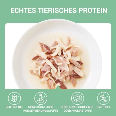 Schesir Complements Filet in Gelee 6 x 70 g