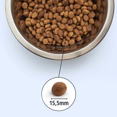Kroketten in Edelstahlnapf, einzelne Krokette hervorgehoben mit Durchmesserangabe 15,5 mm.
