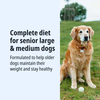 Complete diet for senior large and medium-sized dogs. Developed to help older dogs maintain their weight and support their health. Complete diet for senior large and medium-sized dogs. Developed to help older dogs maintain their weight and support their health.