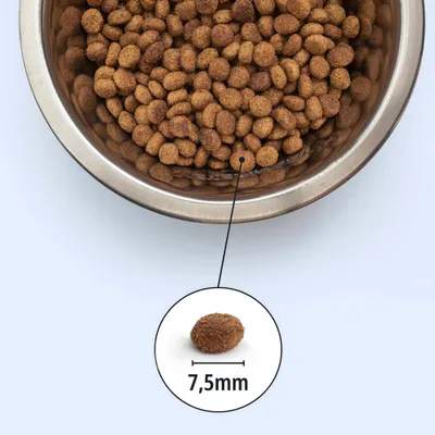 Cuenco de metal con croquetas marrones, vista detallada de una croqueta con indicación de tamaño: 7,5 mm de diámetro. Cuenco de metal con croquetas marrones, vista detallada de una croqueta con indicación de tamaño: 7,5 mm de diámetro.