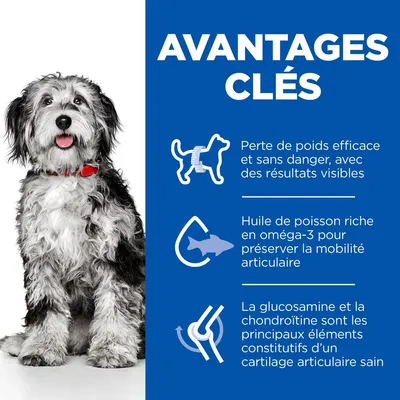 Hill's Science Plan Adult Perfect Weight & Active Mobility Medium poulet pour chien Hill's Science Plan Adult Perfect Weight & Active Mobility Medium poulet pour chien
