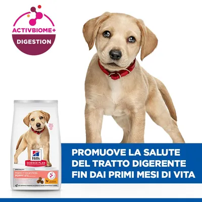 Hill's Science Plan Large Puppy Perfect Digestion Crocchette per cani