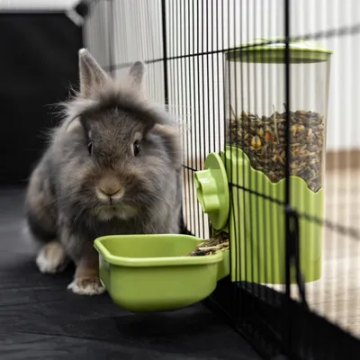 Dispensador de comida Kerbl Pet para animales pequeños