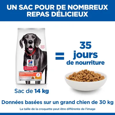Hill's Science Plan Perfect Digestion Adult Large avec poulet et riz complet