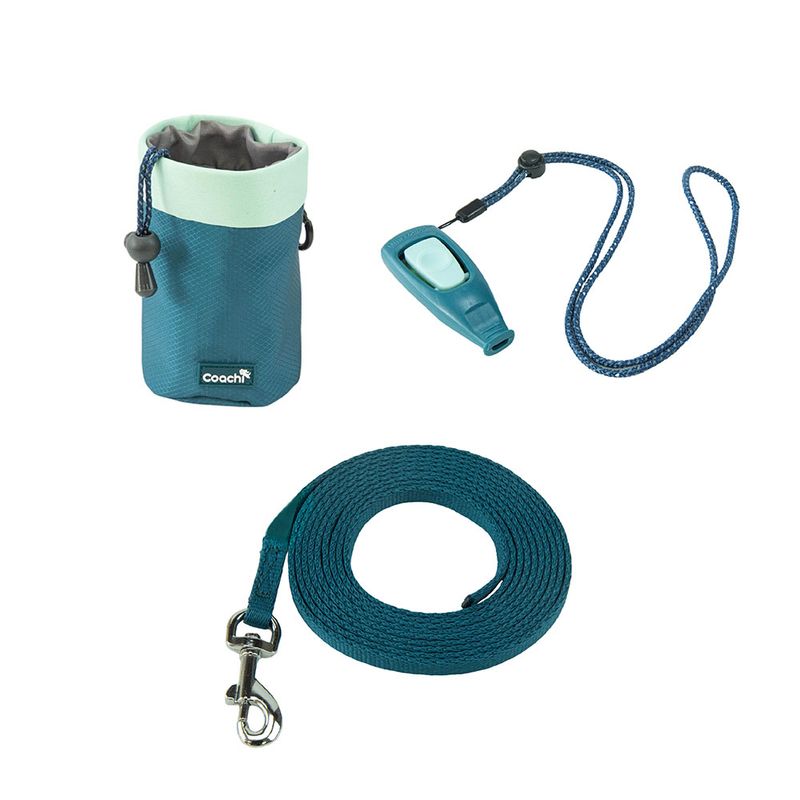 Coachi Puppy & Mini Starter Training Kit