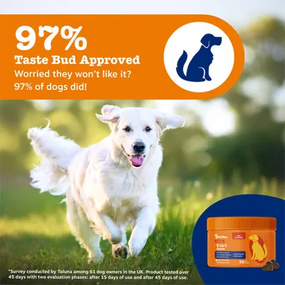 Zesty Paws 5-in-1 Chews Multifunctional - Turkey - dog supplements - 50 Chews Zesty Paws 5-in-1 Chews Multifunctional - Turkey - dog supplements - 50 Chews