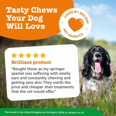 Zesty Paws Probiotic Chews Digestion - Pumpkin - dog supplements - 50 Chews Zesty Paws Probiotic Chews Digestion - Pumpkin - dog supplements - 50 Chews