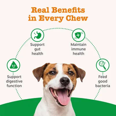 Zesty Paws Probiotic Chews Digestion - Pumpkin - dog supplements - 50 Chews Zesty Paws Probiotic Chews Digestion - Pumpkin - dog supplements - 50 Chews