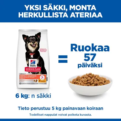 Hill's Science Plan Perfect Digestion Adult 1+ Small & Mini kana & ruskea riisi Hill's Science Plan Perfect Digestion Adult 1+ Small & Mini kana & ruskea riisi