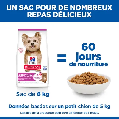 Hill's Science Plan Adulte 1-6 Small & Mini Agneau & Riz, 6 kg, sac suffisant pour 60 jours d'aliment pour un chien de 5 kg. Les indications sont basées sur la taille d’un petit chien. Hill's Science Plan Adulte 1-6 Small & Mini Agneau & Riz, 6 kg, sac suffisant pour 60 jours d'aliment pour un chien de 5 kg. Les indications sont basées sur la taille d’un petit chien.