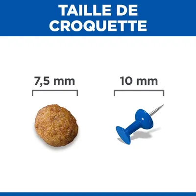 Comparaison de la taille des croquettes : une croquette de 7,5 mm de diamètre à côté d'une punaise de 10 mm de diamètre. Comparaison de la taille des croquettes : une croquette de 7,5 mm de diamètre à côté d'une punaise de 10 mm de diamètre.