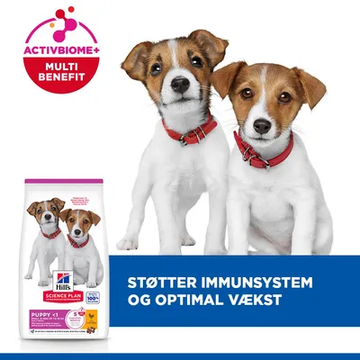 Hill's Science Plan Puppy <1 Small & Mini med kylling