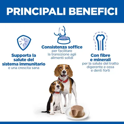 Hill's Science Plan Puppy & Mother Tender Mousse con Pollo