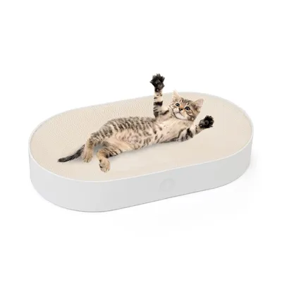Canadian Cat Company Apollo Tiragraffi 