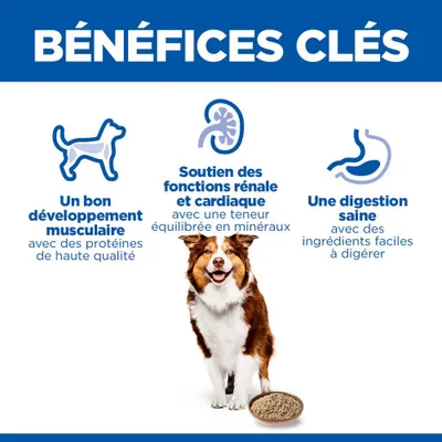 Principaux avantages : bonne croissance musculaire grâce à des protéines de haute qualité, soutien des fonctions rénales et cardiaques, digestion saine avec des ingrédients facilement digestibles. Principaux avantages : bonne croissance musculaire grâce à des protéines de haute qualité, soutien des fonctions rénales et cardiaques, digestion saine avec des ingrédients facilement digestibles.