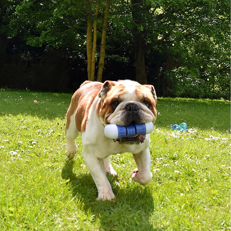 Bobby Hundespielzeug Cubitus