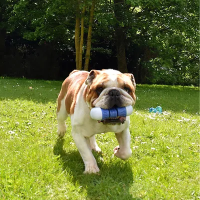 Bobby Cubitus hračka pro psy