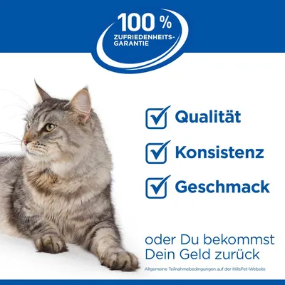 Hill's Science Plan Kitten <1 Lachs
