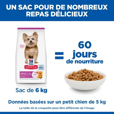 Hill's Science Plan Adulte 1-6, sac de 6 kg équivaut à 60 jours d'aliment pour un chien de 5 kg. Sont représentés un sac de croquettes et une gamelle avec des croquettes.