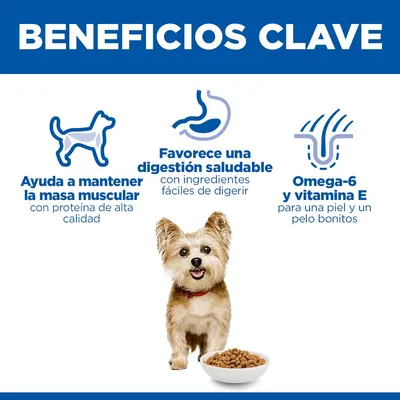 Hill's Science Plan Adult 1-6 Small & Mini con pollo