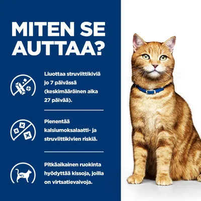 Grafiikka tekstillä: Liuottaa struviittikiviä 7 päivässä, vähentää kalsiumoksalaatti- ja struviittikivien riskiä, pitkäaikainen ruokinta tukee virtsatieongelmista kärsiviä kissoja. Grafiikka tekstillä: Liuottaa struviittikiviä 7 päivässä, vähentää kalsiumoksalaatti- ja struviittikivien riskiä, pitkäaikainen ruokinta tukee virtsatieongelmista kärsiviä kissoja.