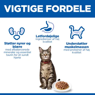 Understøtter nyrer og blære med mineraler og taurin, letfordøjelige ingredienser, understøtter muskelmasse med proteiner af høj kvalitet. Kat og foderskål afbildet. Understøtter nyrer og blære med mineraler og taurin, letfordøjelige ingredienser, understøtter muskelmasse med proteiner af høj kvalitet. Kat og foderskål afbildet.