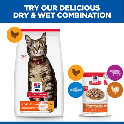 Hill's Science Plan Adult 1-6 dry food with chicken and wet food Premium Chunks in Gravy with turkey, symbols for chicken, beef, fish and turkey visible. Hill's Science Plan Adult 1-6 dry food with chicken and wet food Premium Chunks in Gravy with turkey, symbols for chicken, beef, fish and turkey visible.
