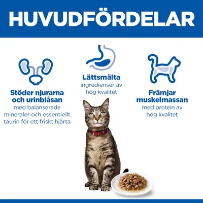 Huvudsakliga fördelar: Stödjer njurar och urinblåsa, lättsmälta ingredienser, främjar muskelmassa med högkvalitativt protein. Katt och matskål avbildade. Huvudsakliga fördelar: Stödjer njurar och urinblåsa, lättsmälta ingredienser, främjar muskelmassa med högkvalitativt protein. Katt och matskål avbildade.