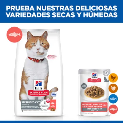 Hill's Science Plan Sterilised Cat Adult 1-6 pienso y comida húmeda con salmón. Pruebe nuestras deliciosas variedades, seco y húmedo.