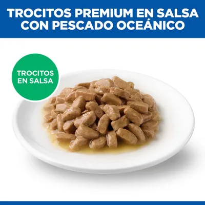 Trocitos Premium en salsa con pescado oceánico, servidos en un plato blanco. Texto en la imagen: Trocitos en salsa. Trocitos Premium en salsa con pescado oceánico, servidos en un plato blanco. Texto en la imagen: Trocitos en salsa.