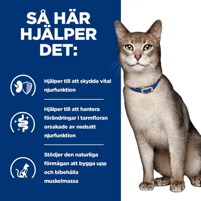 Hill's Prescription Diet k/d Kidney Care Salmon