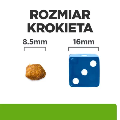 Porównanie rozmiarów: Krokiety o średnicy 8,5 mm obok kostki o długości krawędzi 16 mm. Nagłówek: Rozmiar krokieta.