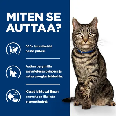 88 % lemmikeistä on laihtunut. Auttaa ylläpitämään saavutettua painoa ja antaa energiaa leikkimiseen. Kissat laihtuvat ilman, että annoskokoa tarvitsee merkittävästi pienentää. 88 % lemmikeistä on laihtunut. Auttaa ylläpitämään saavutettua painoa ja antaa energiaa leikkimiseen. Kissat laihtuvat ilman, että annoskokoa tarvitsee merkittävästi pienentää.