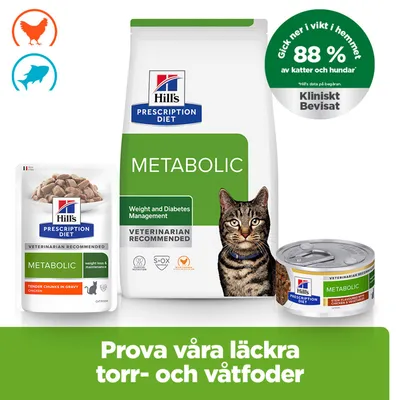 Hill's Prescription Diet Metabolic torr- och våtfoder, rekommenderat av veterinärer. 88 % av katter och hundar går ner i vikt hemma. Prova våra läckra torr- och våtfoder. Hill's Prescription Diet Metabolic torr- och våtfoder, rekommenderat av veterinärer. 88 % av katter och hundar går ner i vikt hemma. Prova våra läckra torr- och våtfoder.