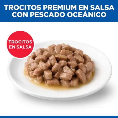 Trocitos Premium en salsa con pescado oceánico. Trocitos en salsa servidos en un plato blanco. Trocitos Premium en salsa con pescado oceánico. Trocitos en salsa servidos en un plato blanco.