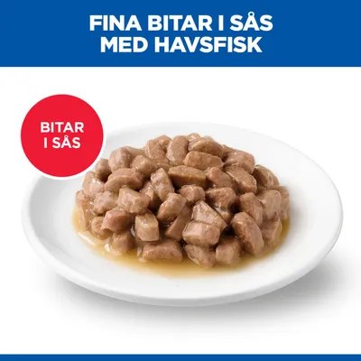 Fina bitar i sås med havsfisk. Bitar i sås. Visad portion: bruna köttbitar i sås på en vit tallrik. Fina bitar i sås med havsfisk. Bitar i sås. Visad portion: bruna köttbitar i sås på en vit tallrik.