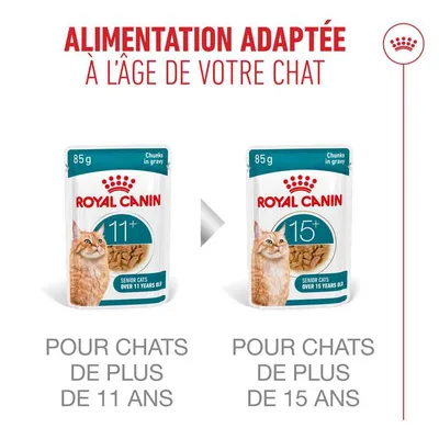 Royal Canin Ageing 11+ en sauce Royal Canin Ageing 11+ en sauce
