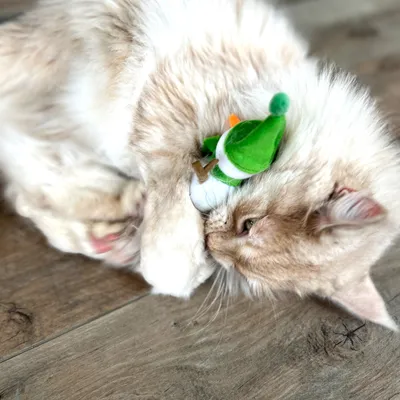 Aumüller Coussin Bonhomme de neige Frozen Fritz pour chat