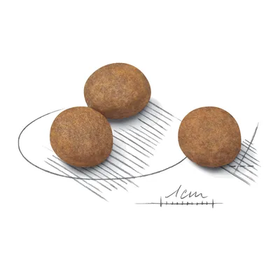 Drie ronde brokken hondenvoer met diameterindicatie van 1 cm, geschikt voor het beoordelen van de grootte van de brokken.