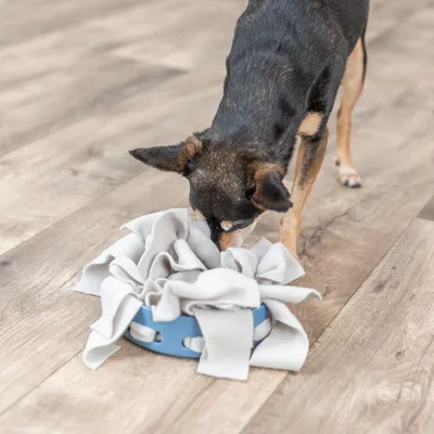 Trixie Dog Activity – Bol Hide'n'Sniff
