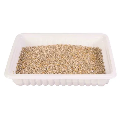 Trixie softgräs rajgräsfrön för egen odling