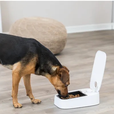 Trixie TX1 automata etető