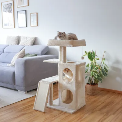 Kerbl Pet Arbre à chat Alessia, beige