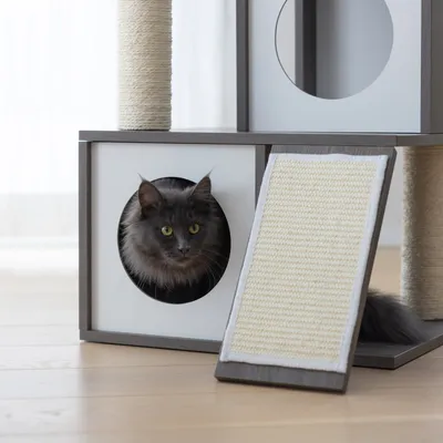 Kerbl Pet Arbre à chat Flair, blanc/gris